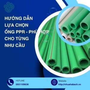 PPR đang ngày càng trở nên phổ biến trong các công trình xây dựng nhờ những ưu điểm vượt trội như khả năng chịu nhiệt tốt, độ bền cao, an toàn cho sức khỏe và dễ dàng thi công.